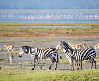 Tanzania